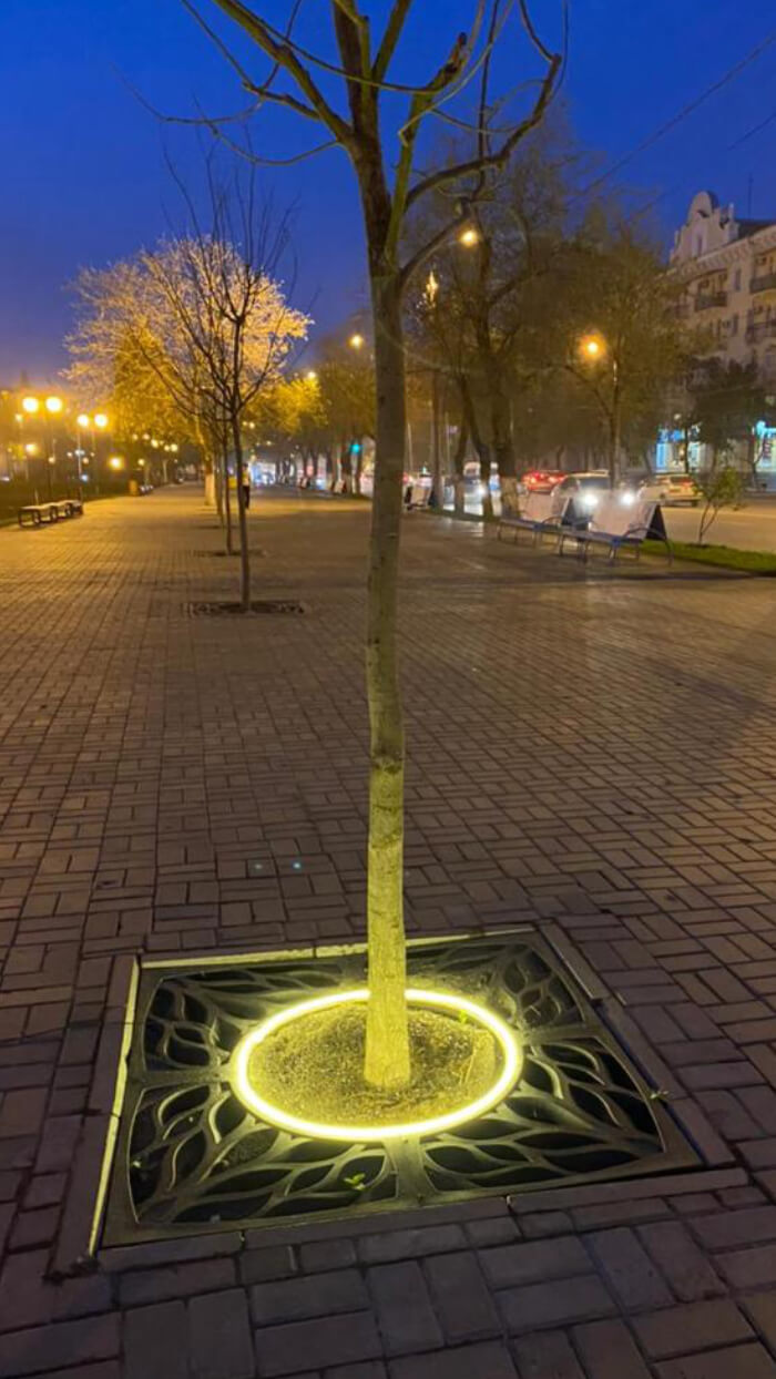 Приствольная решетка для дерева ZKING CRUST 1.2х1.2м Черная в Нижнекамске фото